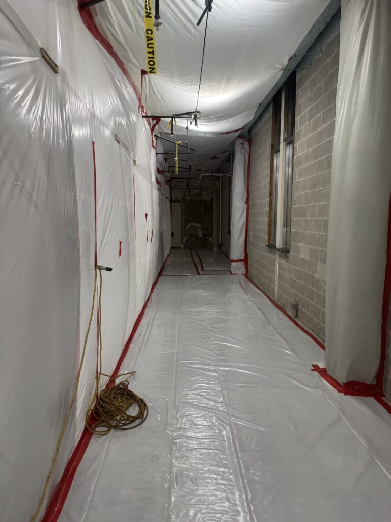 Mold Problems in Office Spaces: Causes, Inspection, Remediation, and ...